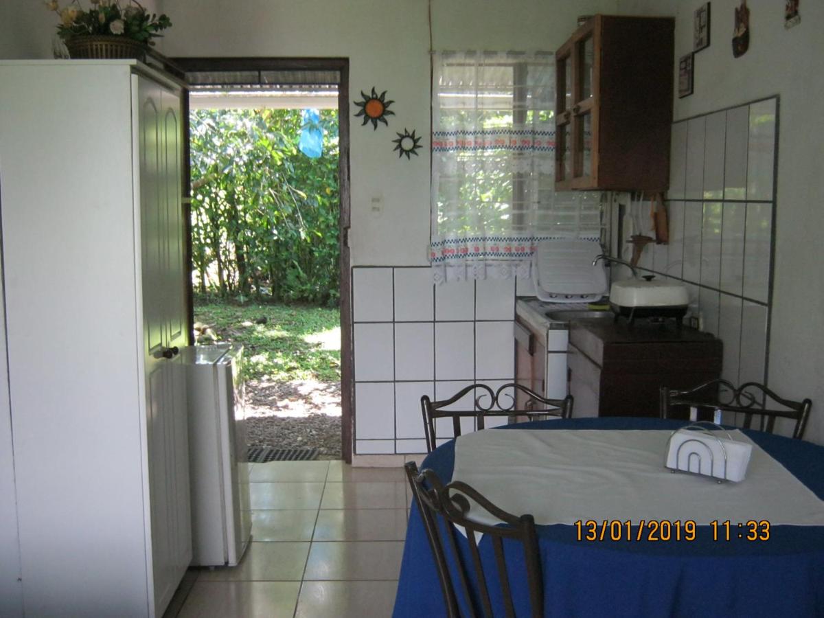 Bosques, Parques Y Playas Muy Cercanas - Housity