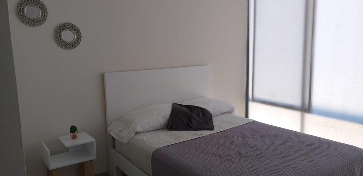Suitetrails - Loft Alameda