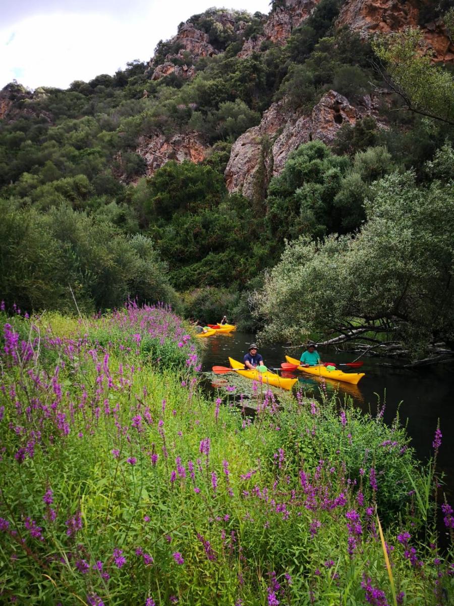 Antica casa vacanze gallura - Housity