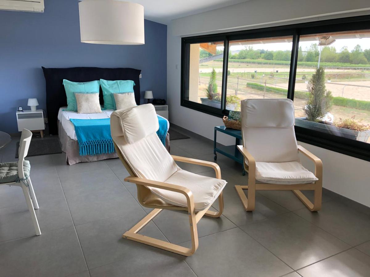 Gite-Grand studio contemporain proche Toulouse dans domaine Equestre - Housity
