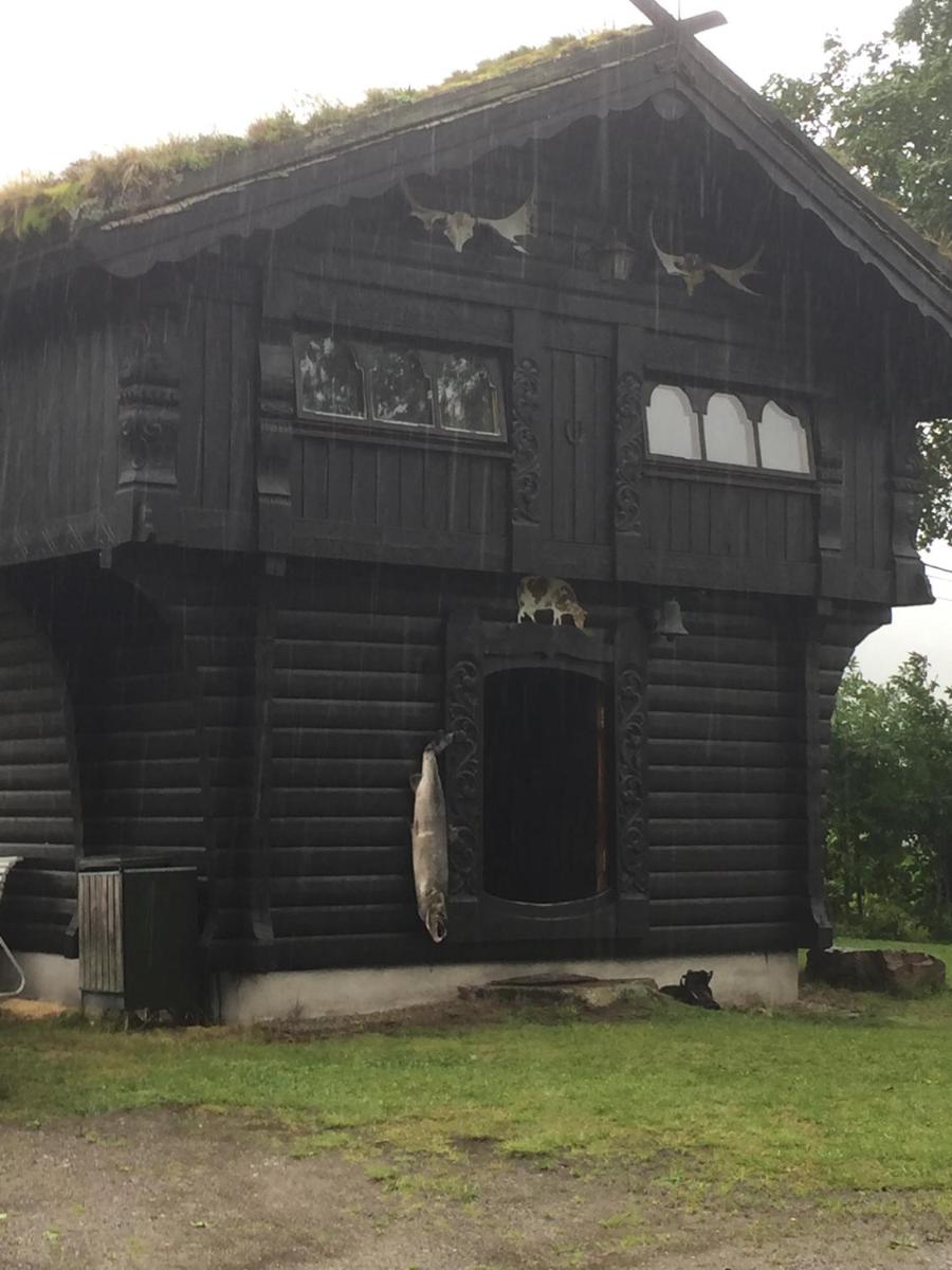 Sogn Gjestegard - Housity