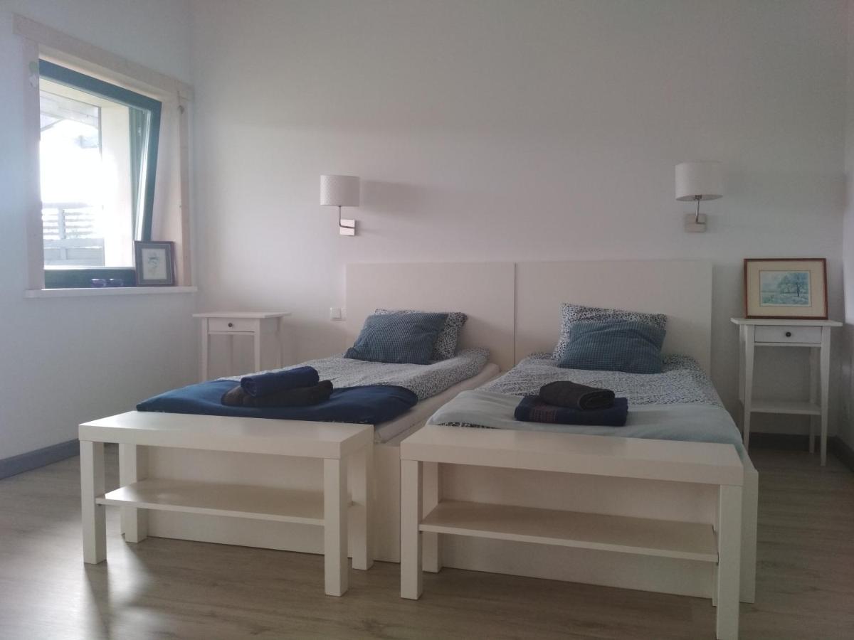 Chamedafne w Puszczy Kampinoskiej - Housity