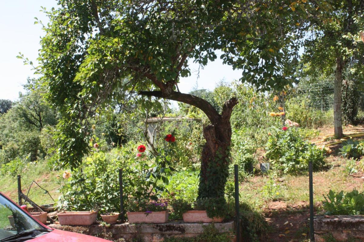 Le canard enchanté - Housity