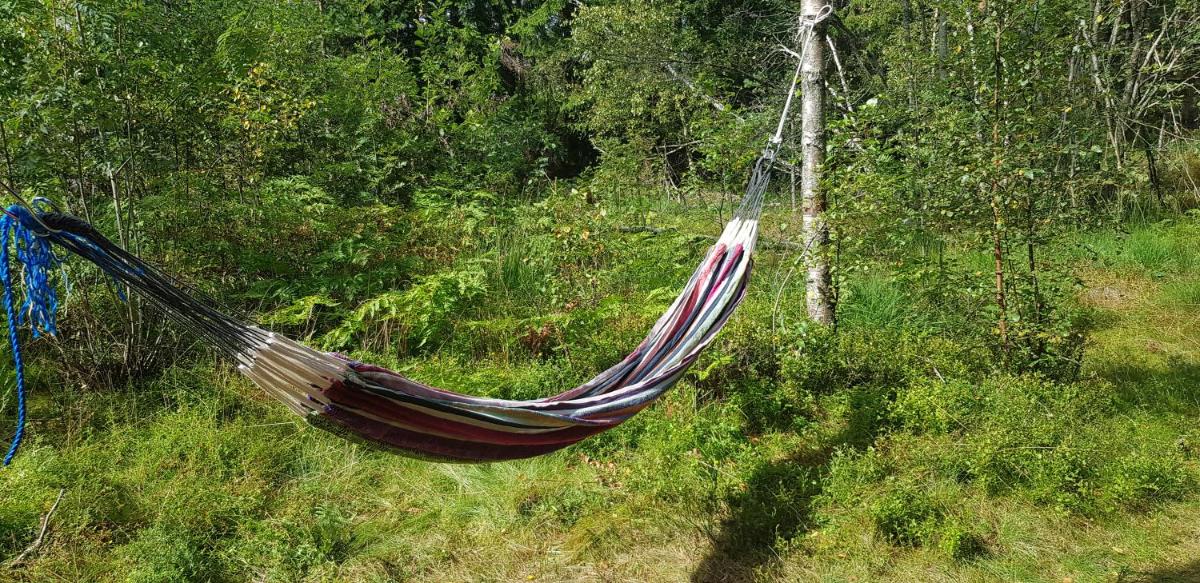 Cozy Cottage in the Woods, near Dyreparken in Kristiansand, Lake Lolandsvannet - Housity