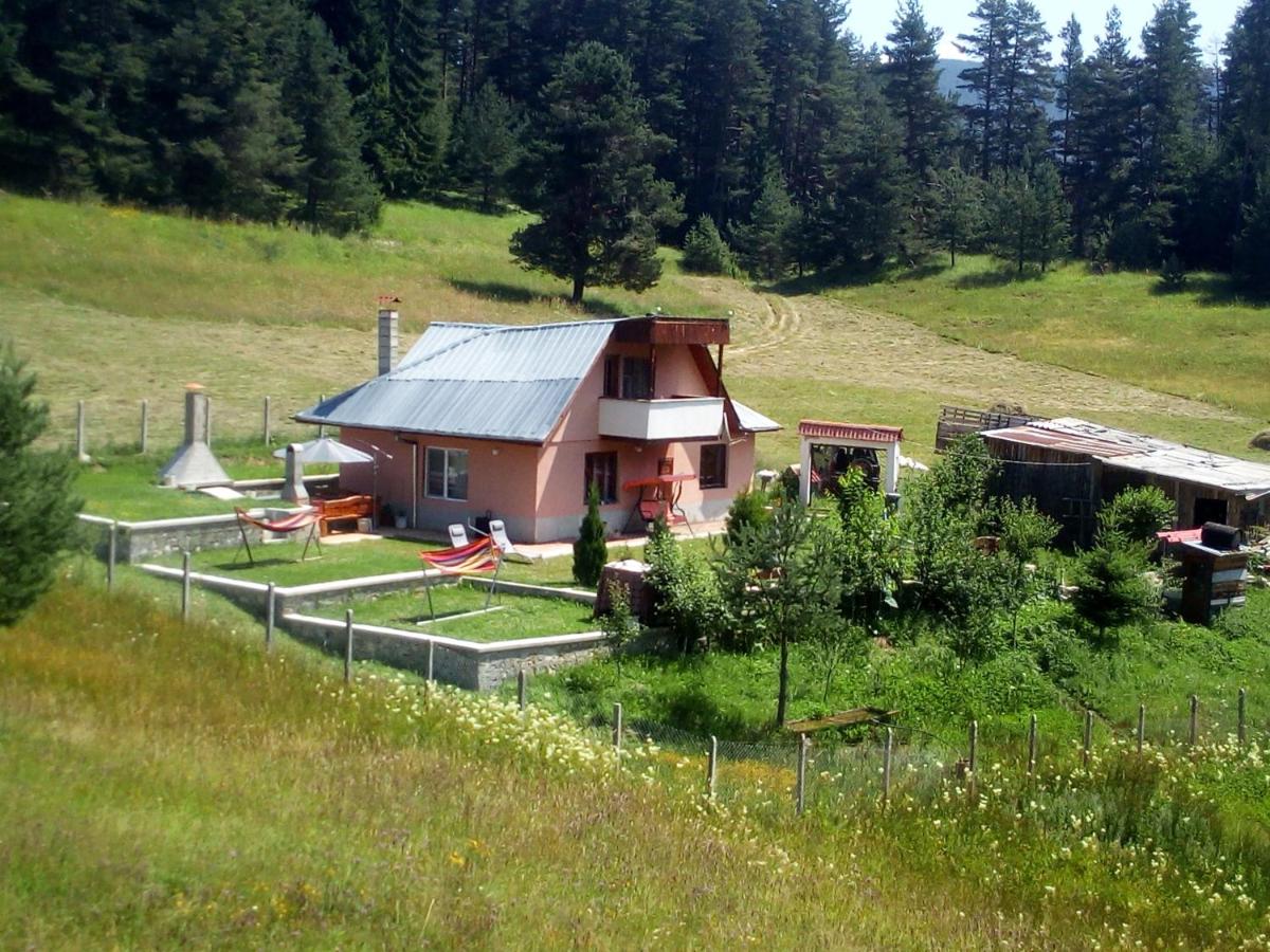 Tolem - Housity
