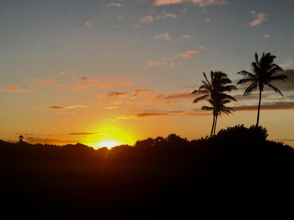 Mauna Kai'iki - Housity