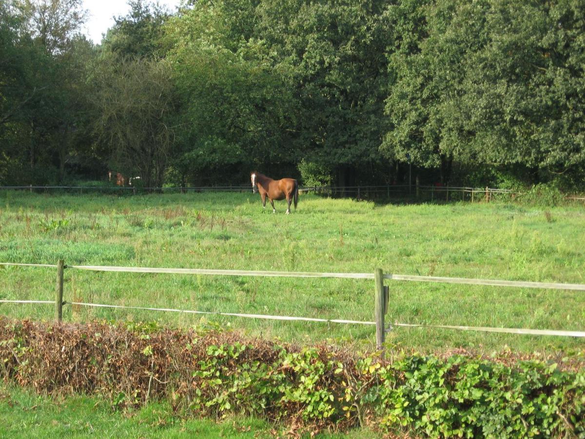 Rustpunt Groote Heide - Housity
