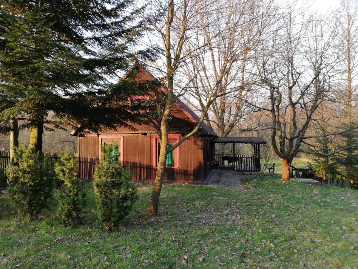 Grażynówka-DROP-gm DOBRE - Housity