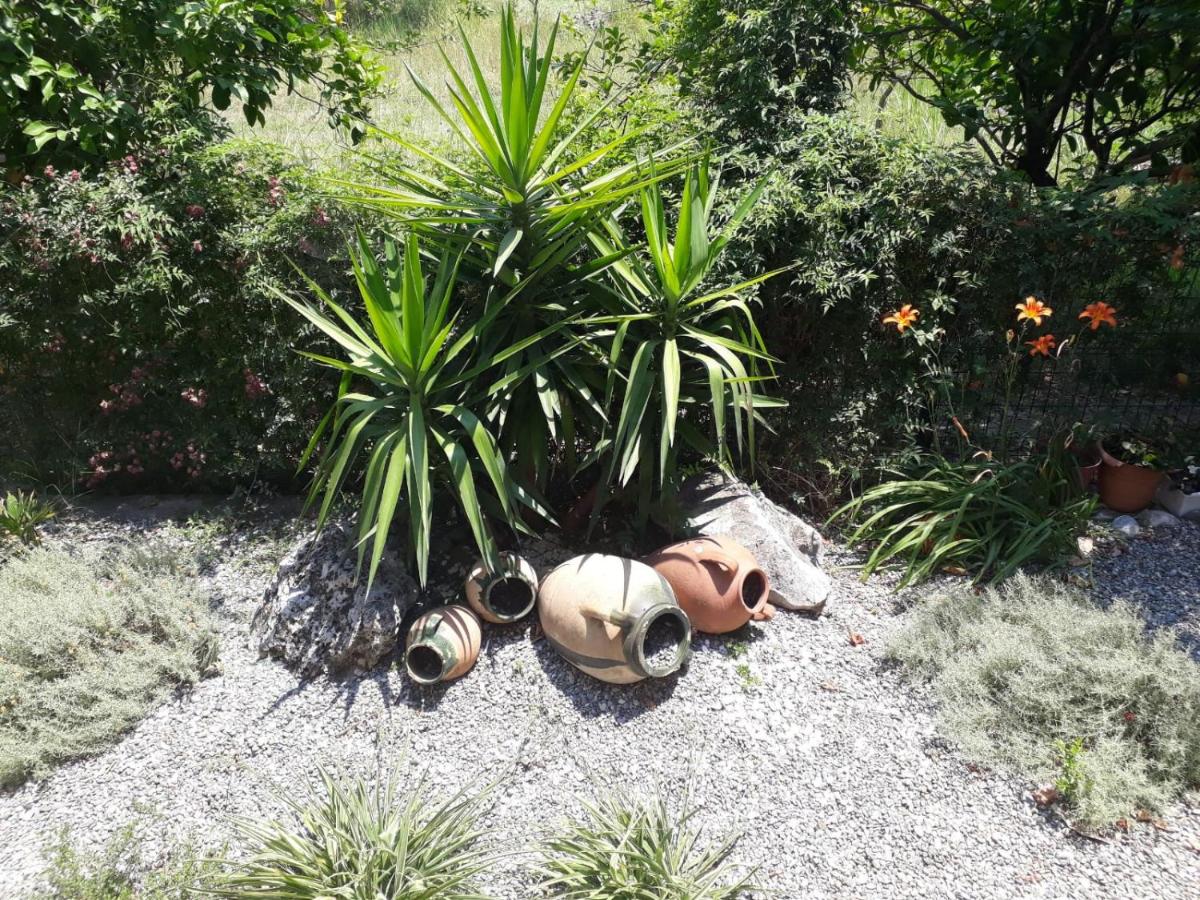 Private House with Garden in Dalyan - Housity