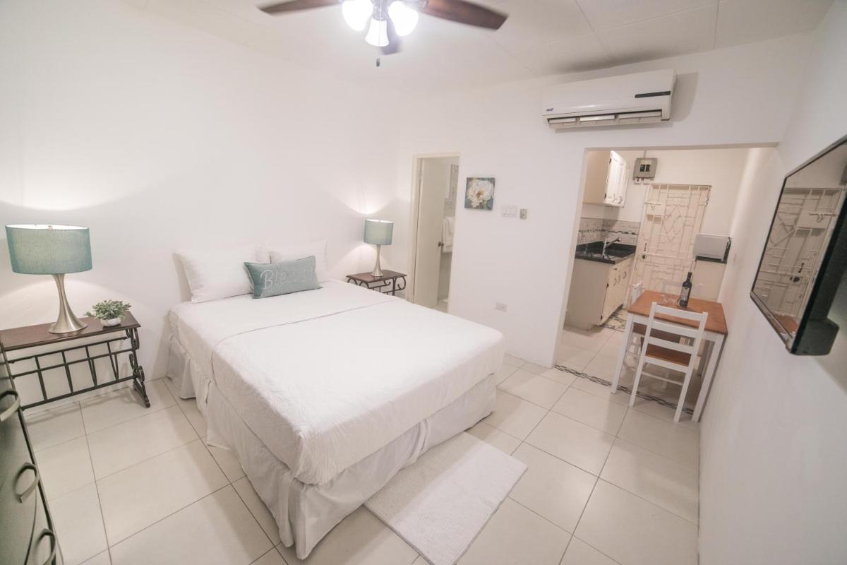 New Kingston Luxury Apartment Chelsea - Housity