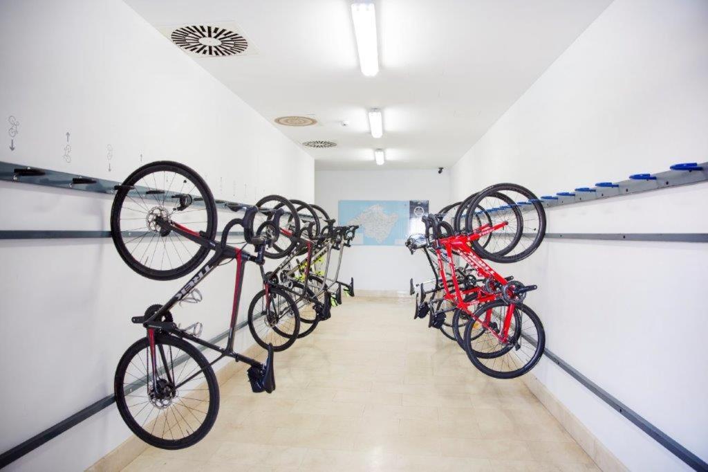 Montar en bicicleta en Hotel Esplendido o alrededores