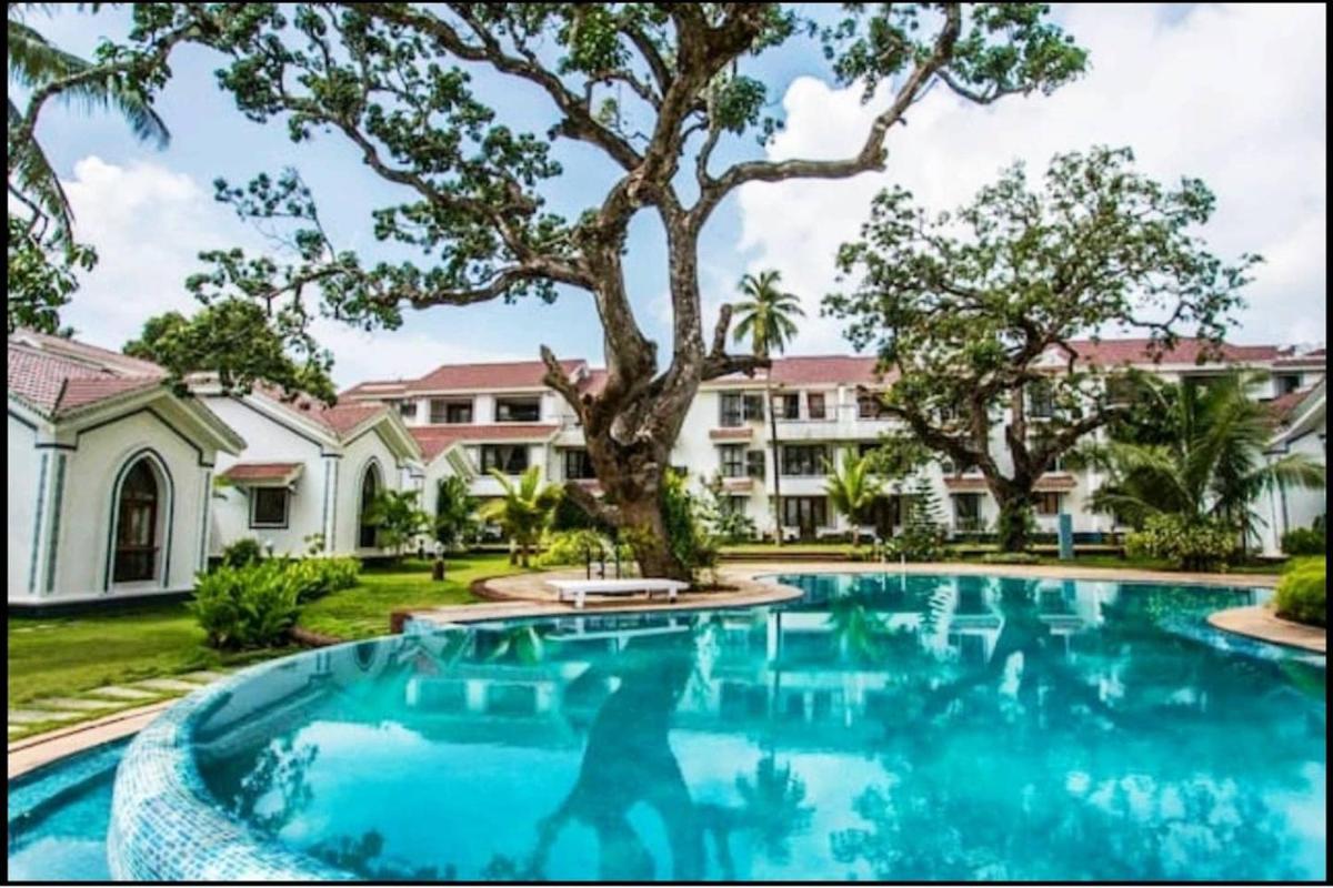 Heart & Soul Beautiful 1 BHK Apartment With Pool View Balcony - Housity