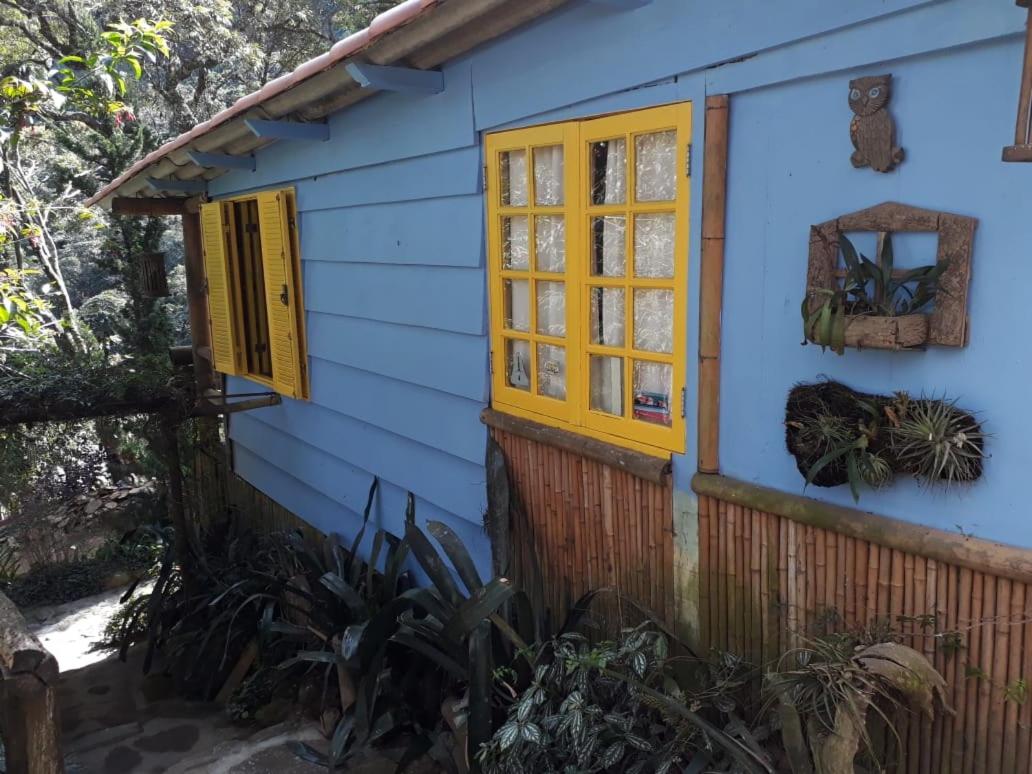 Chales Bamboo Jungle - Housity