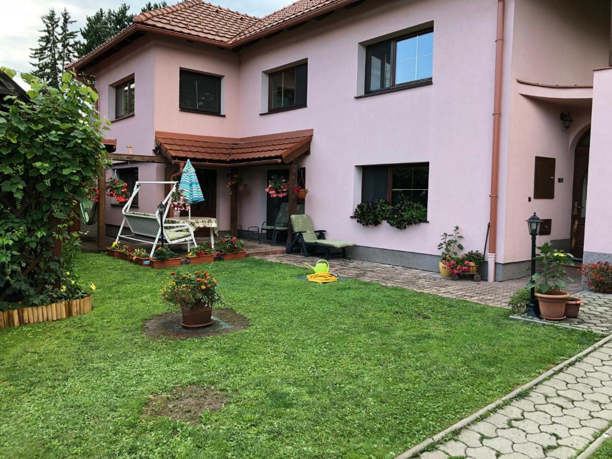 Dafinka - Housity