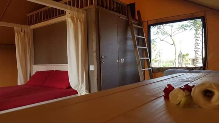 CAMPING BISCIONE - Housity