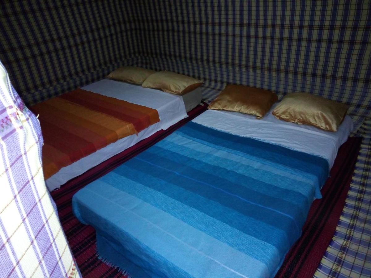 Sahara camel tours camp - Housity