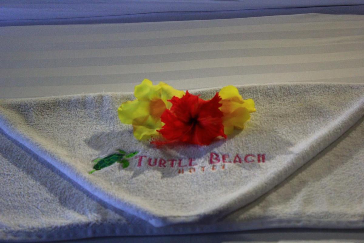 Turtle Beach Hotel - Housity