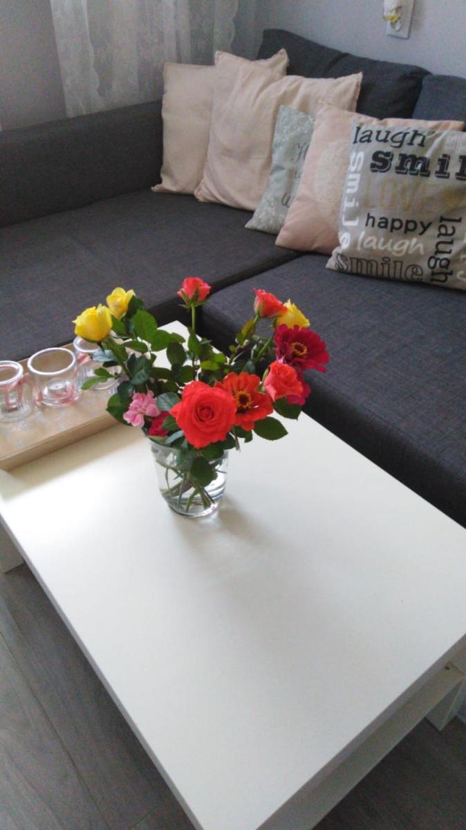 Apartment Oświęcim klimatyzowany - Housity
