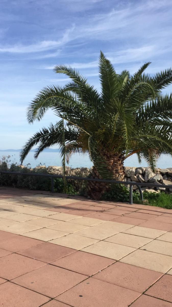 Monolocale centro L'Île Rousse a 100mt dalla spiaggia - Housity
