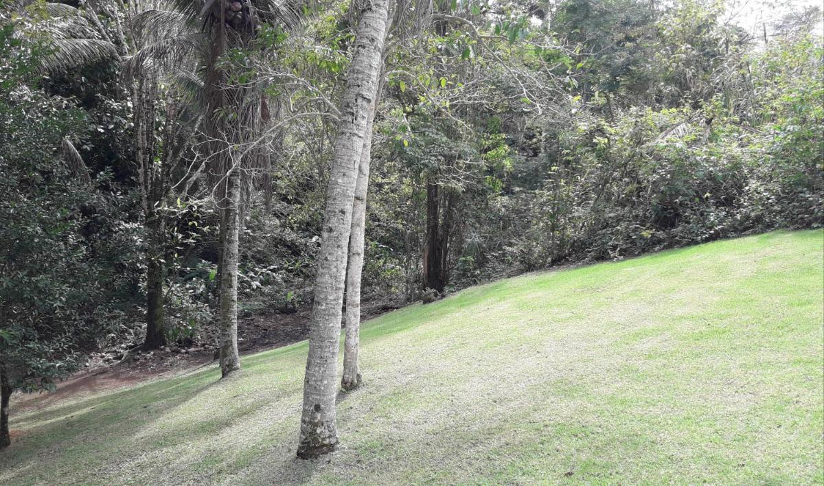 Musa Velutina - Housity