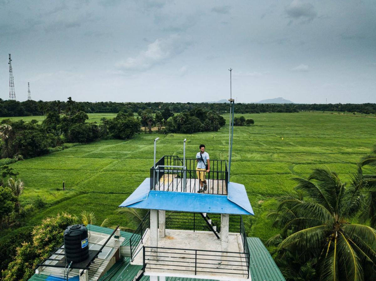 Heaven Upon Rice Fields - Housity