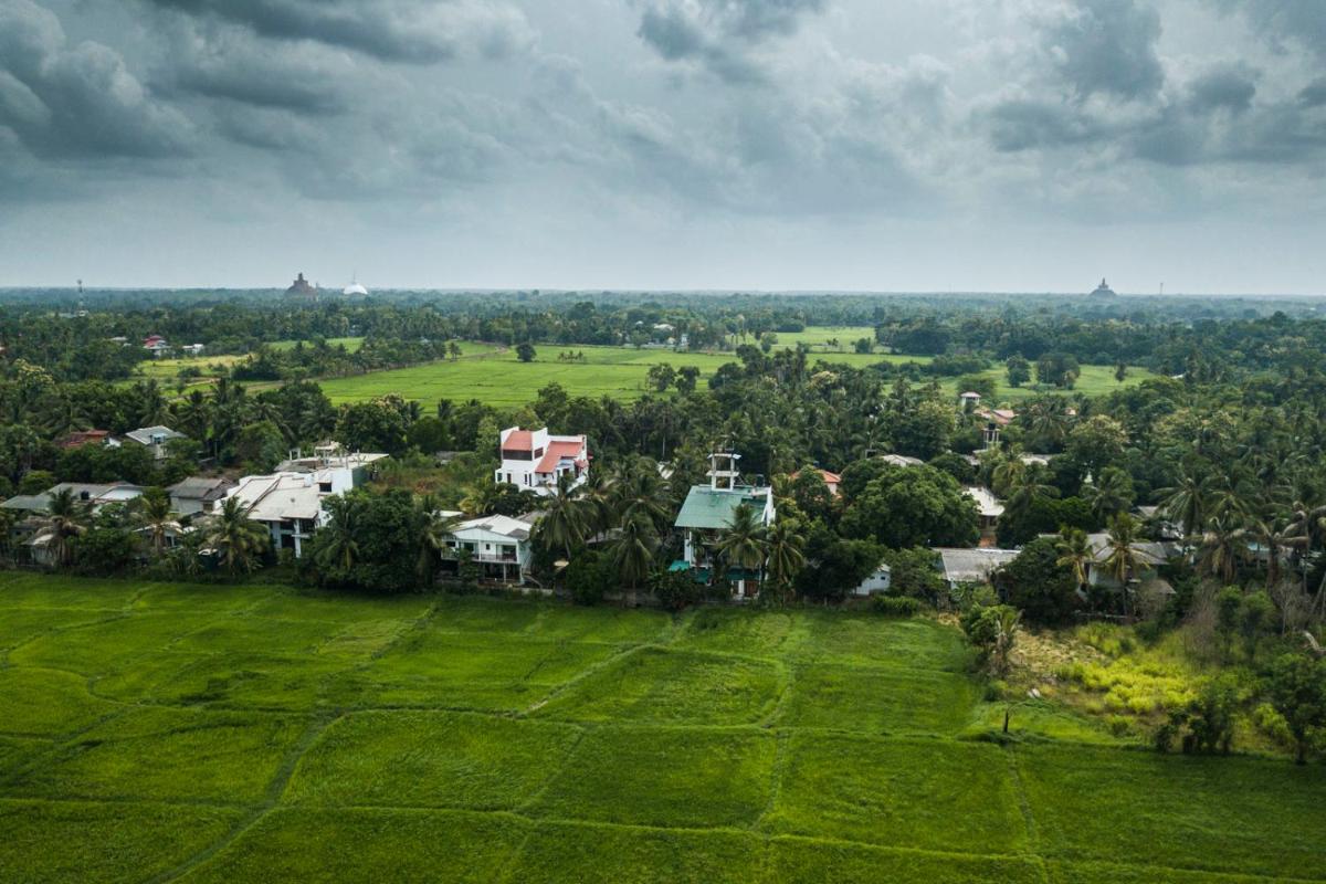 Heaven Upon Rice Fields - Housity
