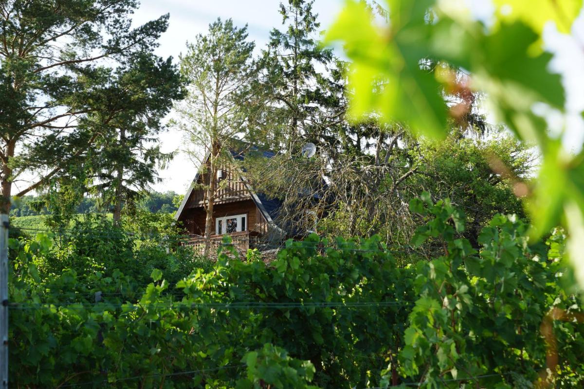 Vacationhome in the vineyards - Housity