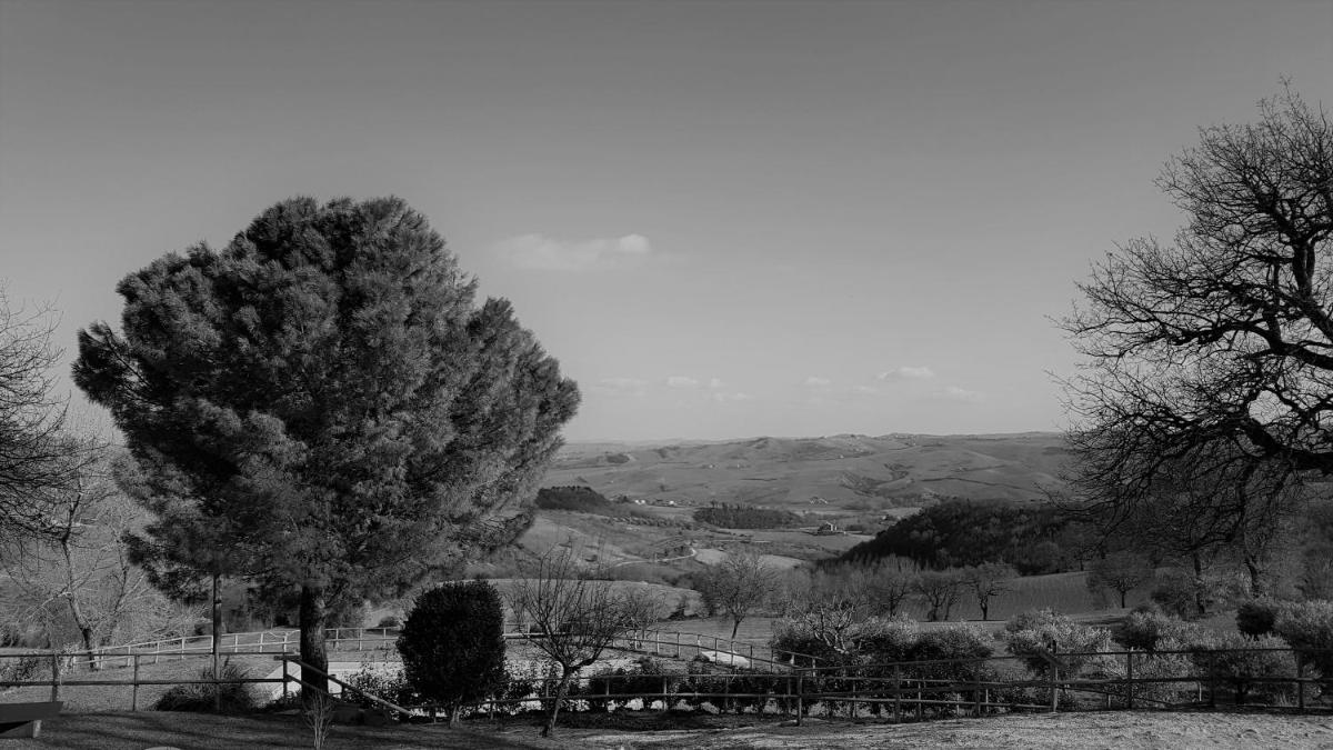 Agriturismo BIO Fattoria Le Origini - Housity