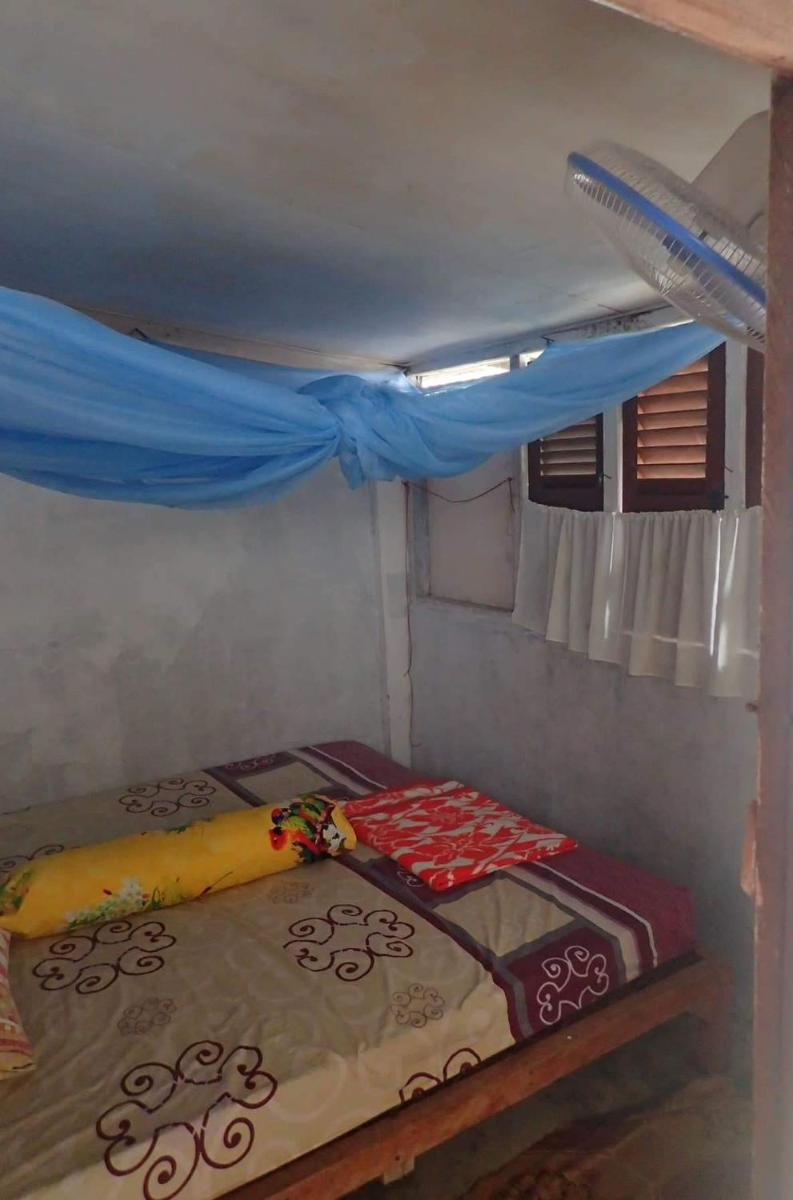 GRANDMA GUEST HOUSE including jungle Trek - Housity