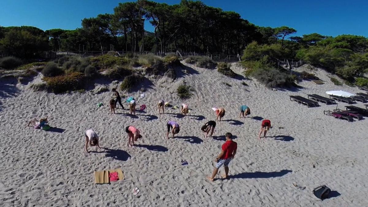 Clients de l'établissement Camping La Pinède