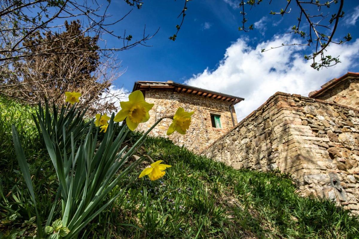 Campora House - Housity