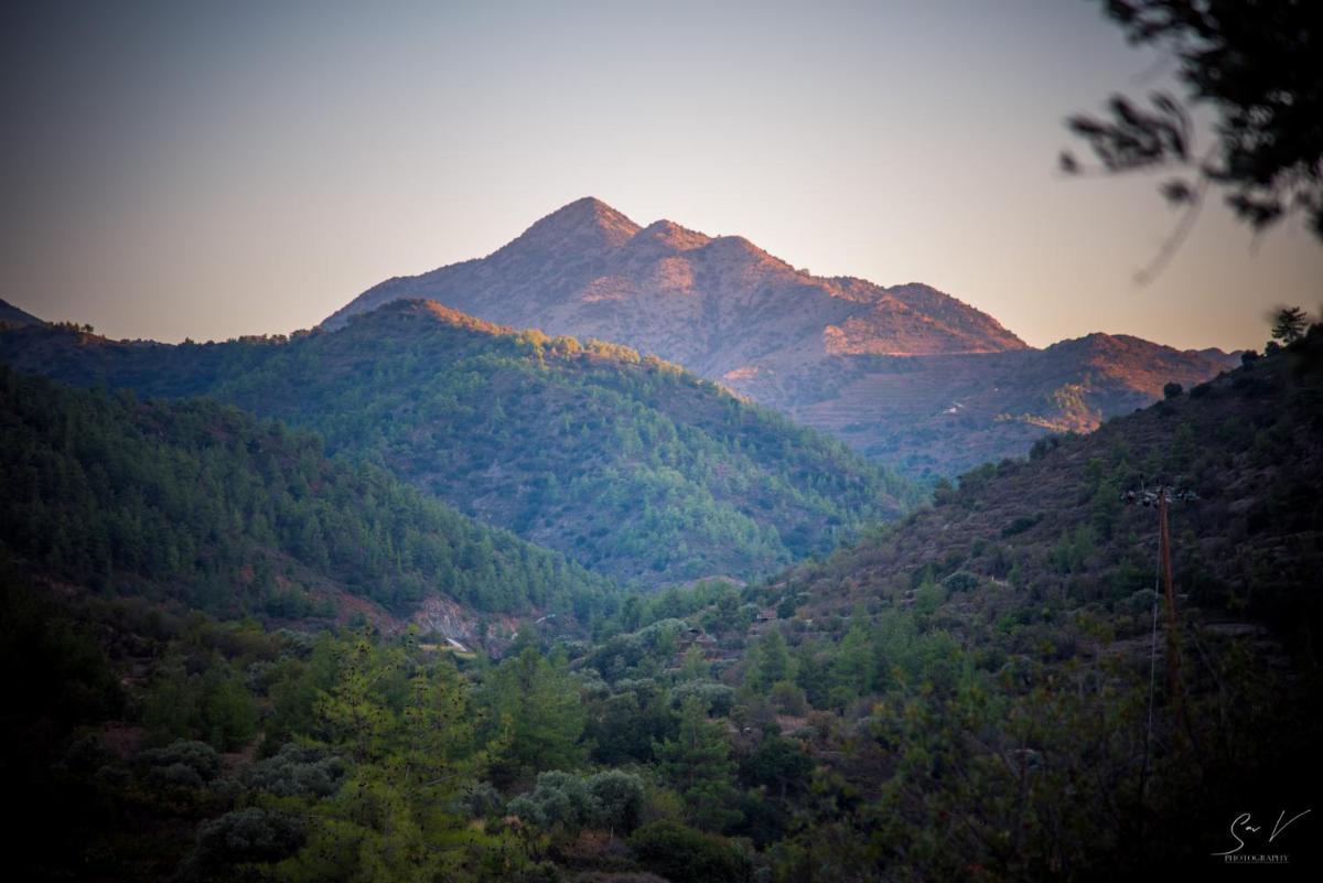 *2 bdr log house /mountains/Queen bed/fireplace - Housity