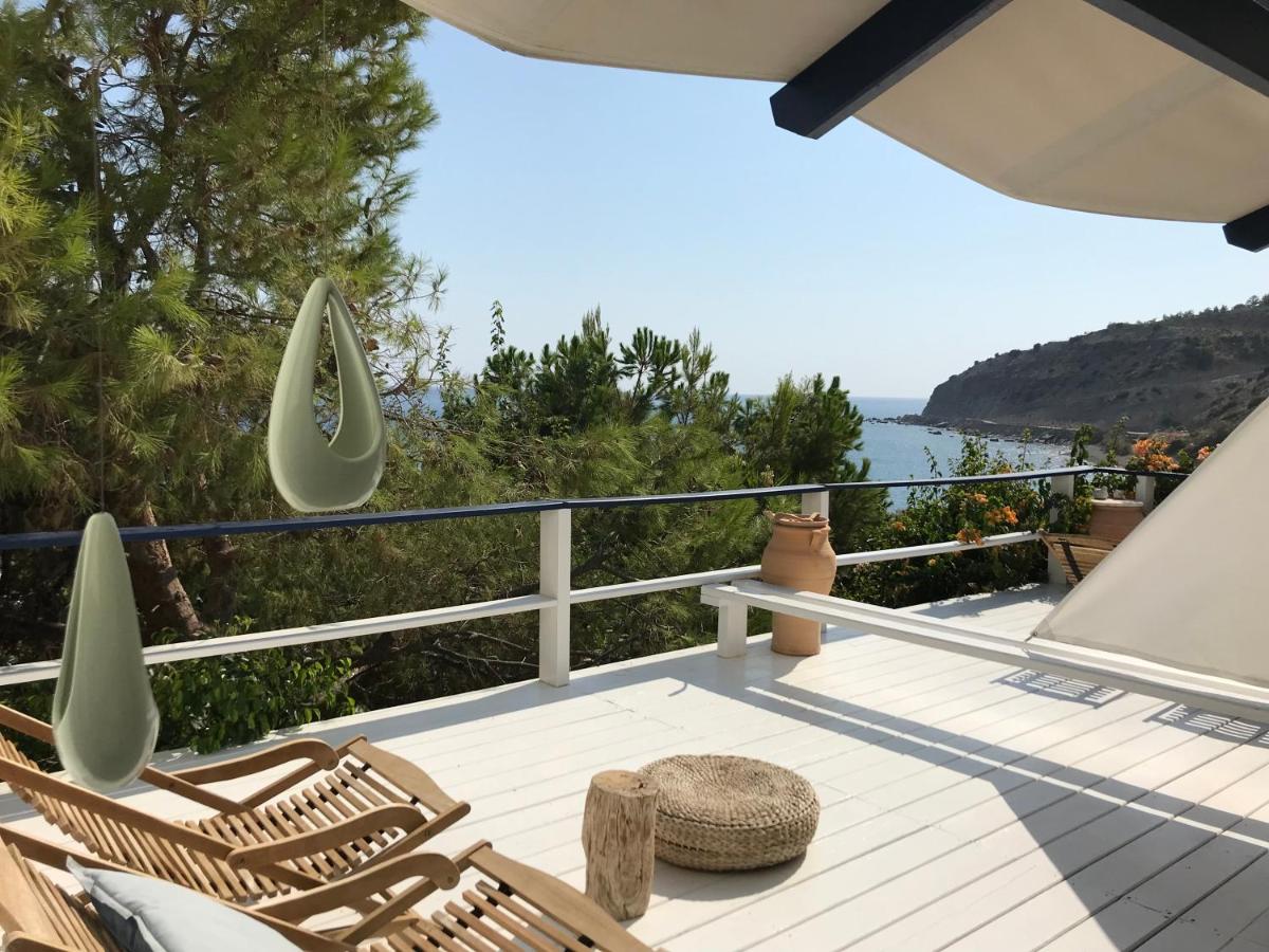 Big Blue Apartments - Housity