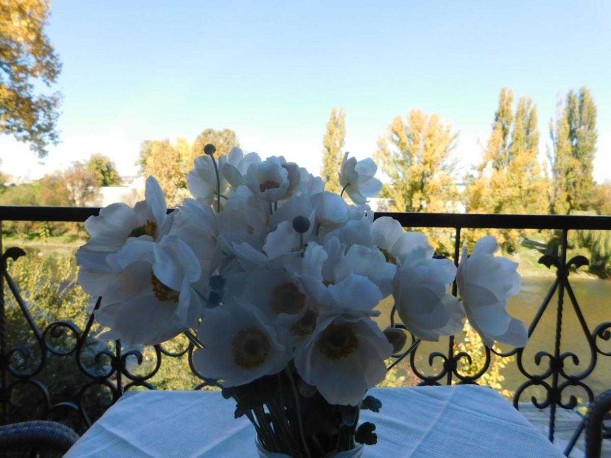 Apartments Villa Kobilj - Housity