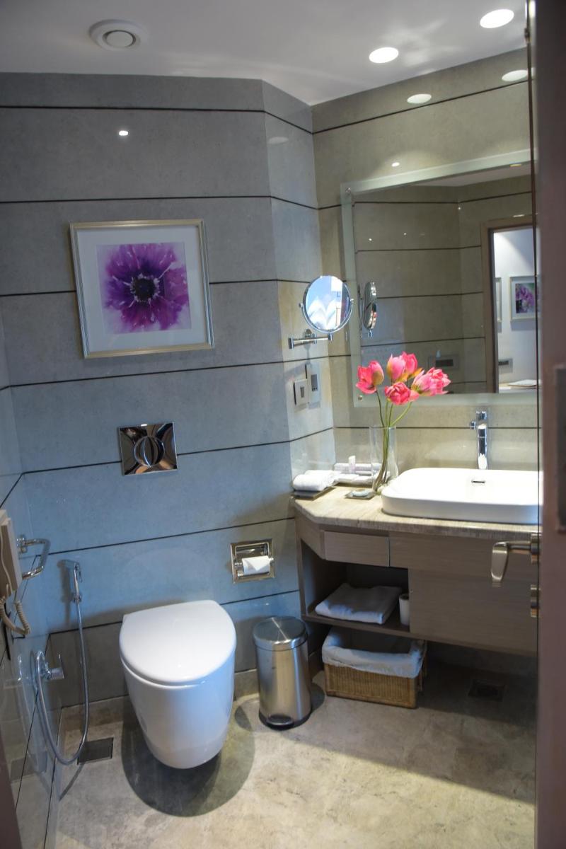 a bathroom with a toilet and a sink and a mirror at Welcomhotel by ITC Hotels, Shimla in Shimla