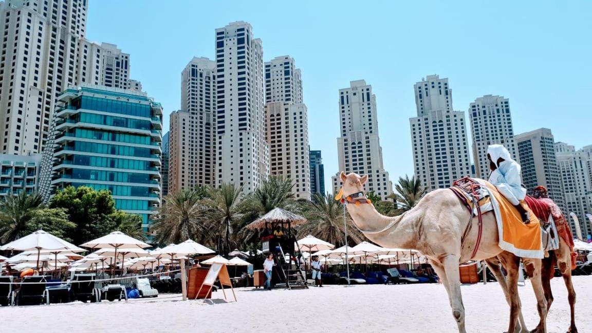 Silvia s holiday homes JBR &Marina Bahar 6 - Housity