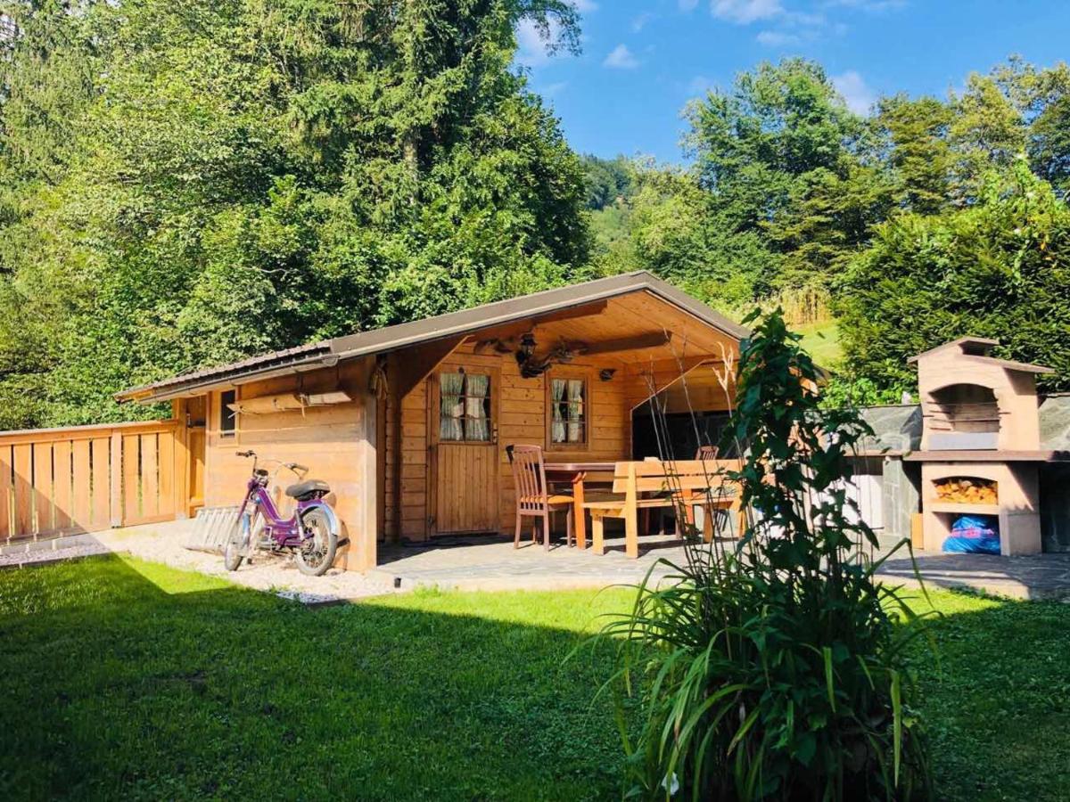 Apartma Eržen - Housity