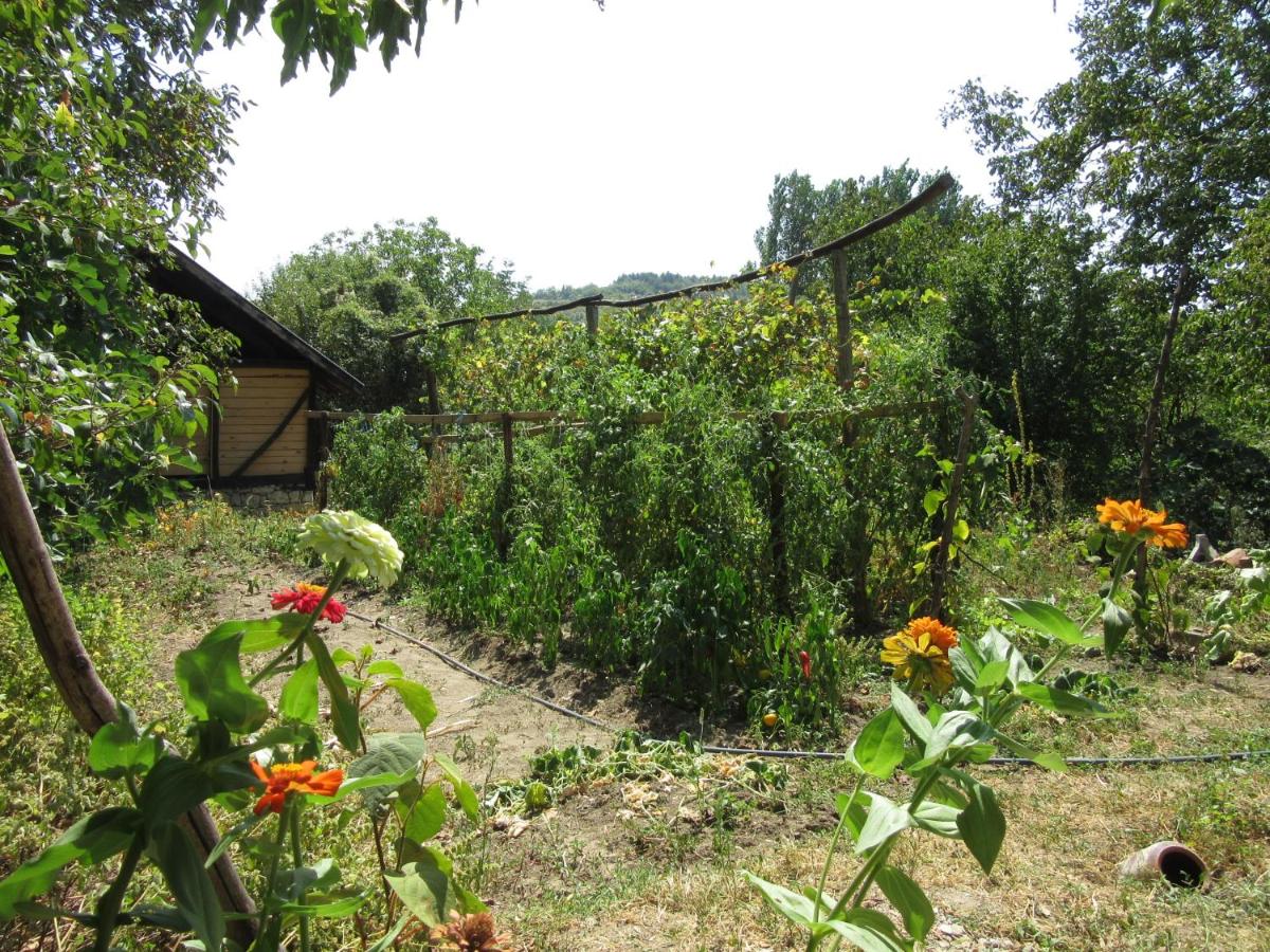 BeeFree - Housity
