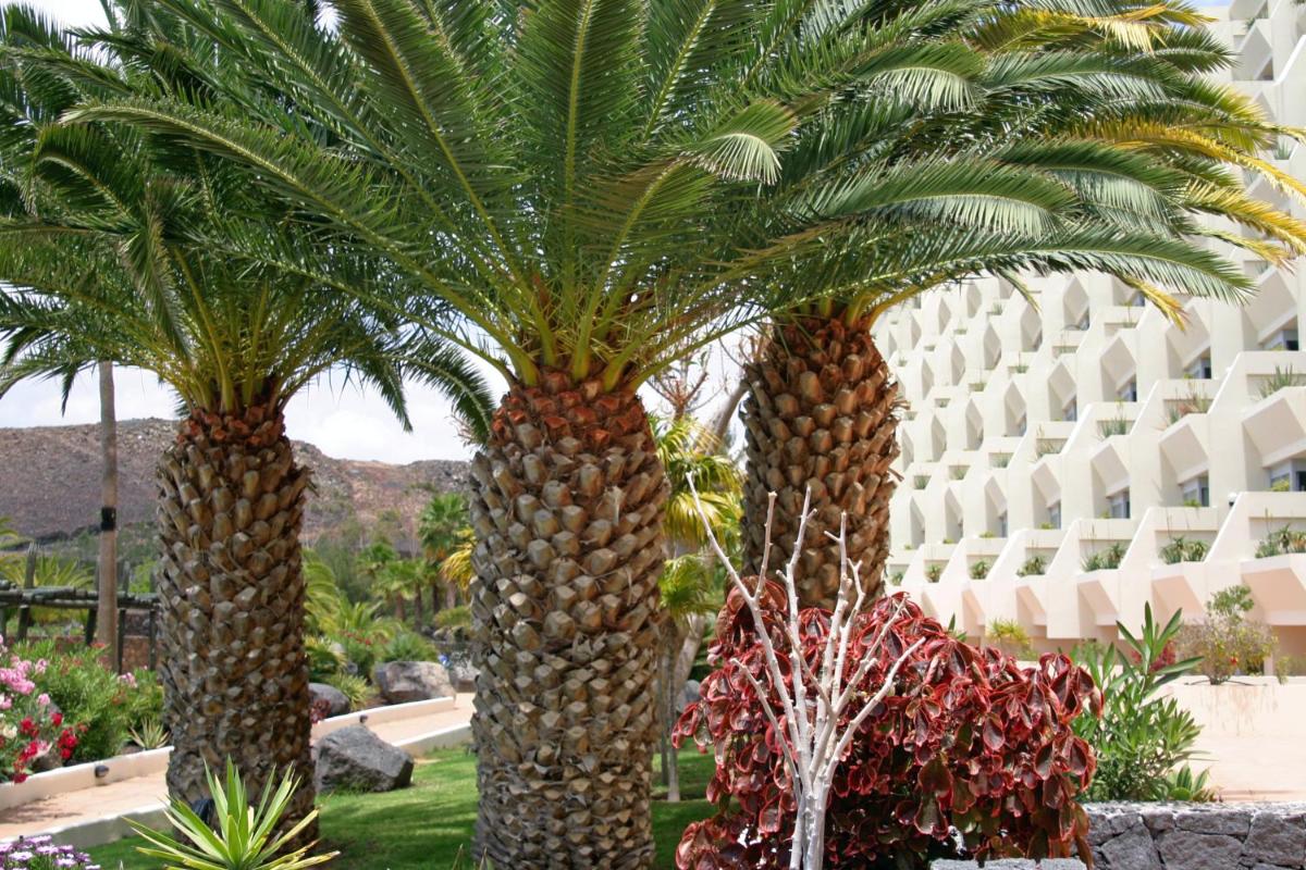 Jardín al aire libre en Beatriz Costa & Spa