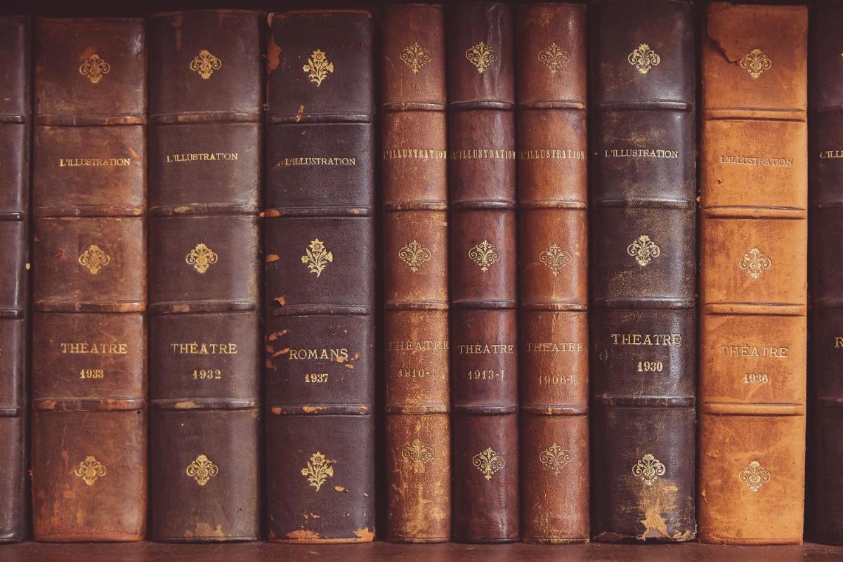 Bibliothèque dans l'hôtel