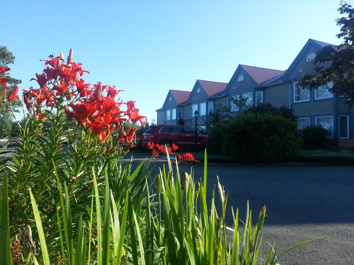 Granite Town Hotel - Housity