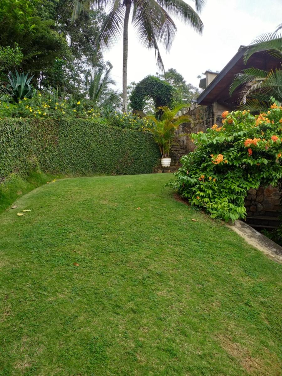 Tea Leaf Retreat - Housity