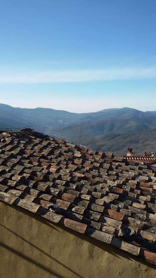 Casa Sardegna in montagna Tonara - Housity