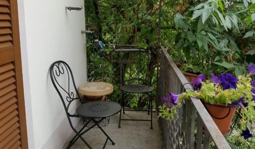 La Signora delle Camelie - Housity