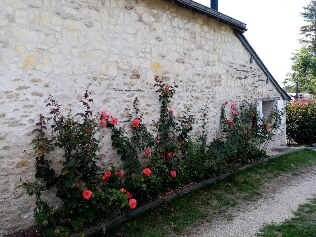 The peaceful countryside corner - Housity