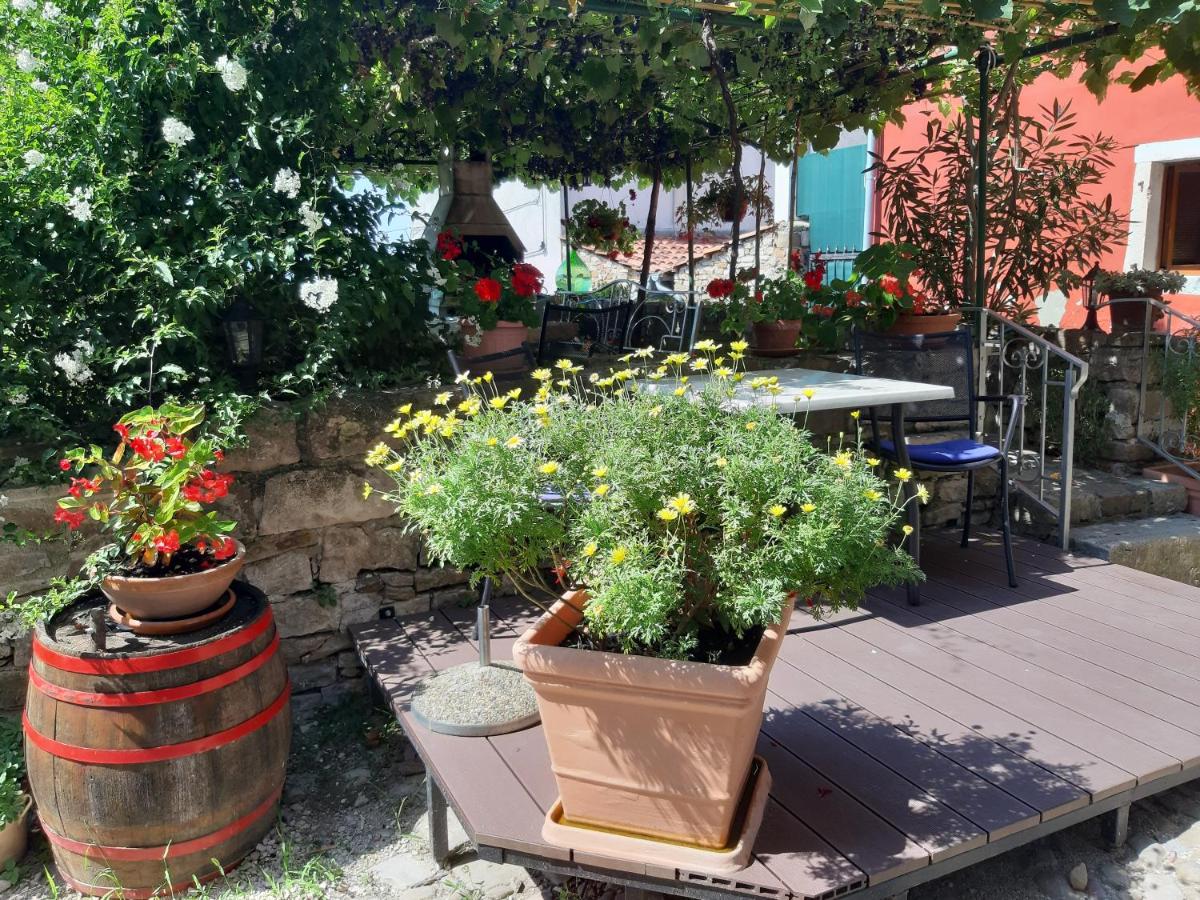 Guesthouse Villa Marija - Housity