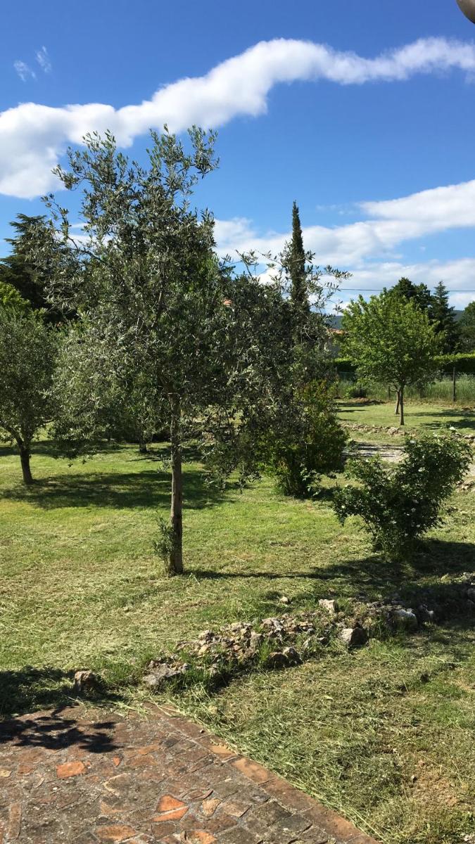 Villa Miranda - Housity