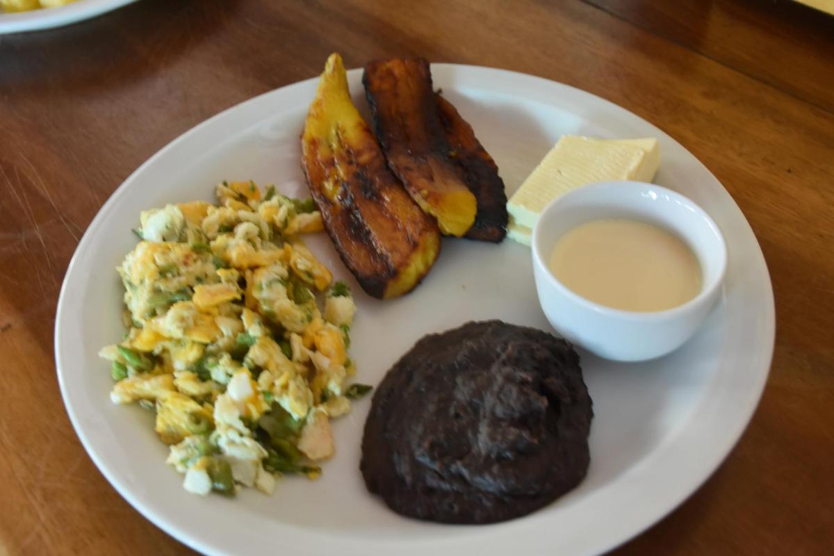 The Mayan Grouper - Housity