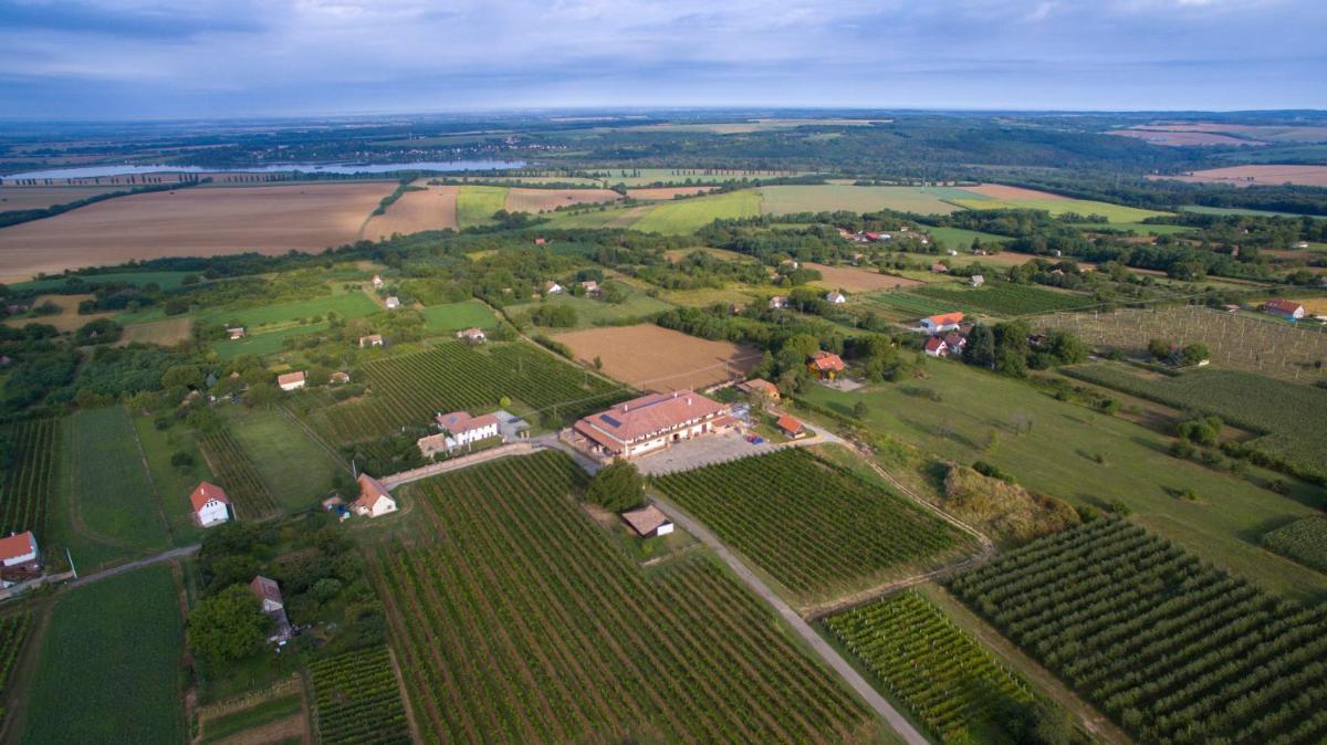 Ebner Pince - Panzió - Housity