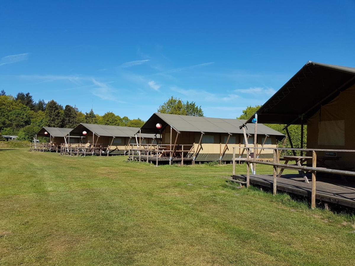 Siblu De Lente van Drenthe - Housity